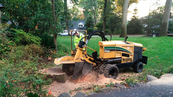 blog page-Everything Tree Service