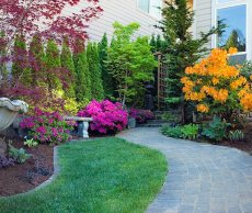 Landscaping design with fountain and a brick paver path
