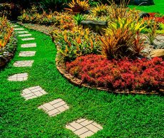 Landscape design with pathway and green grass