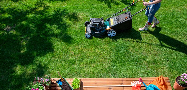 Lawn Care in Staten Island NY-Everything Tree Service