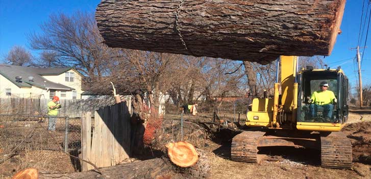 Tree Removal in Bronx NY-Everything Tree Service