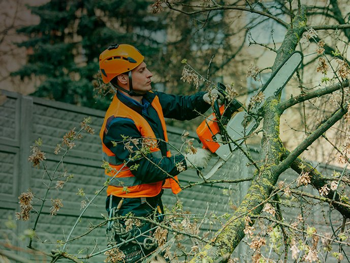 Mobile-Banner-Everything Tree Service